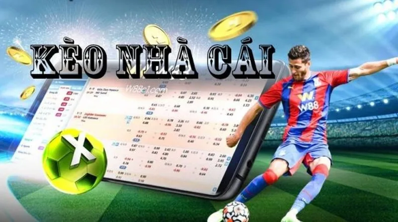 Kèo châu Á, kèo châu Âu, kèo tài xỉu, kèo phạt góc và kèo thẻ phạt sẽ có cách đọc khác nhau, nên không thể phân tích theo một công thức chung được.