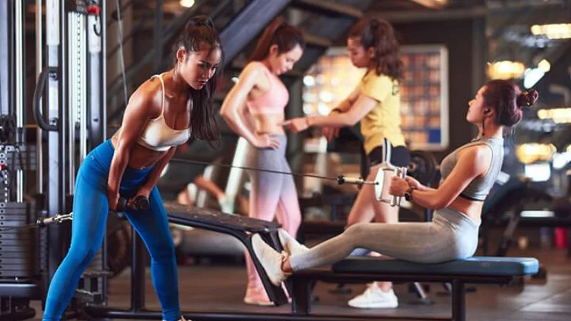 Lịch tập gym cho người mới