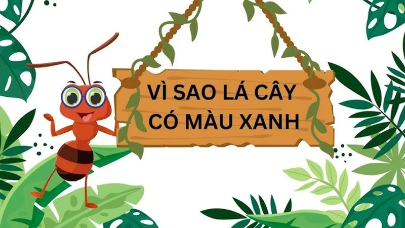 Sắc xanh mướt mát của lá cây — một tuyệt tác sinh học và quang học kỳ diệu của tự nhiên.