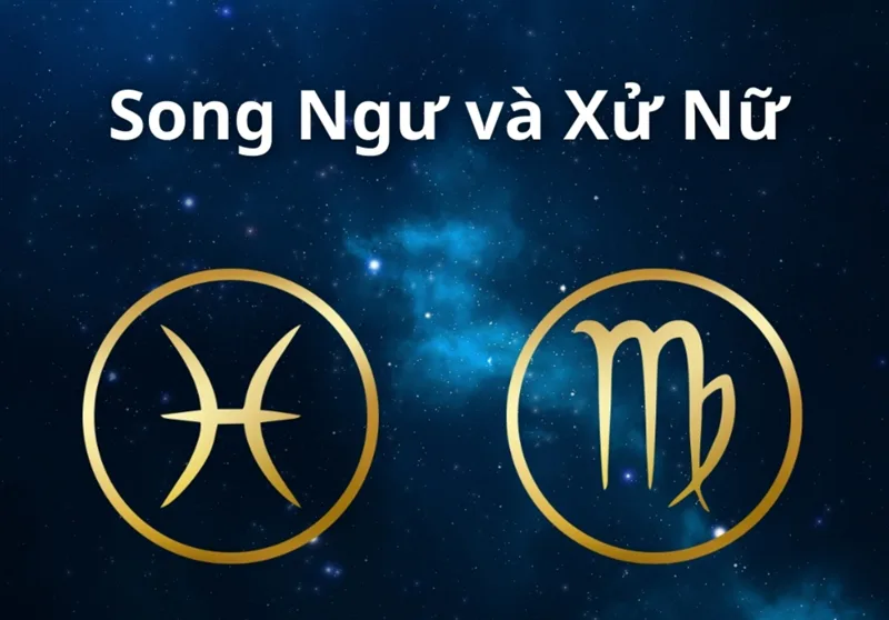 Xử Nữ và Song Ngư thuộc trục đối đỉnh 180 độ, dễ phát sinh mâu thuẫn giữa lý trí và cảm xúc.